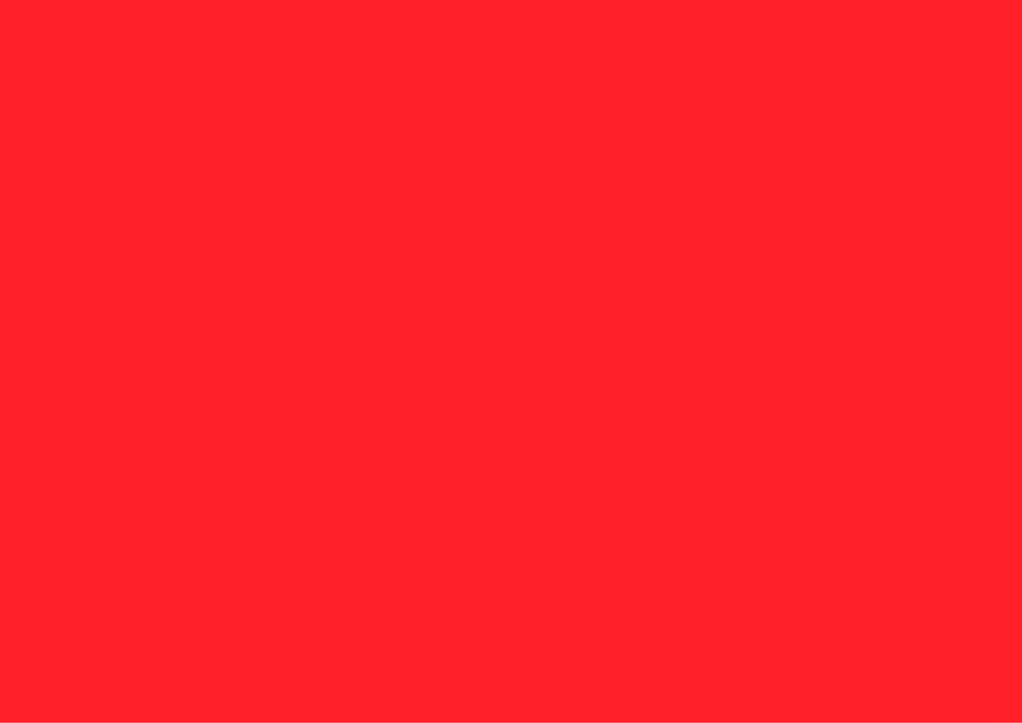 Spray Paint Orange Red MONKE